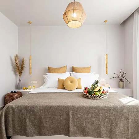 Vila Eartha Horizon Naxos *