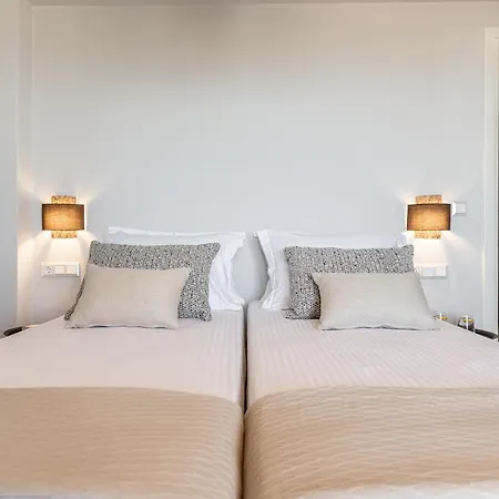 Vila Eartha Horizon Naxos